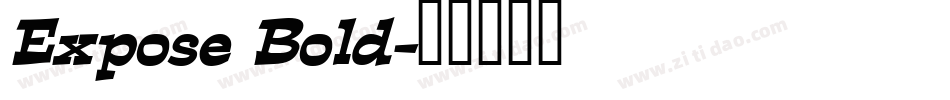 Expose Bold字体转换